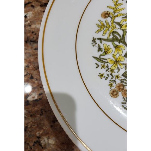 Corelle Indian Summer (Set of 4) 10 1/4" Dinner Plate Autumn Color Flowers - Picture 13 of 14